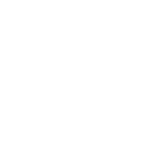 Evidence first findings icon